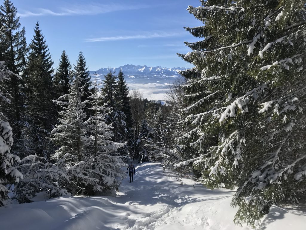 Gorce Ultra Trail Winter Teamplutt